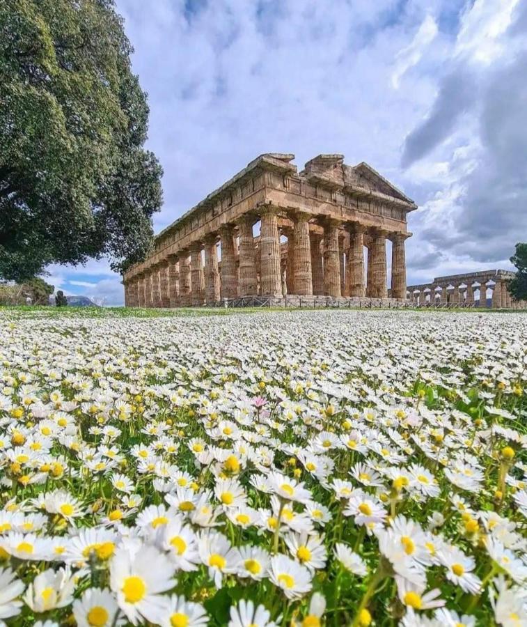 La Ricarda Dimora Di Campagna Bed & Breakfast Paestum Exterior photo